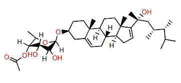 Crassarosteroside D